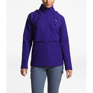 The north face techno ridge hoodie